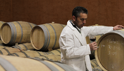 Tasting process for 